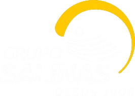 Grupo Salinas